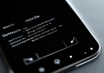 vivo手机屏锁忘了怎么刷机？详细步骤和注意事项是什么？