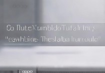 oppo相机拍照声音怎么关？教你不打扰他人的关闭方法