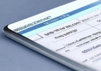 个人所得税app申报方式怎么选更划算？