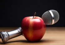 触手录在苹果上的麦克风怎么办？苹果手机麦克风权限怎么设置