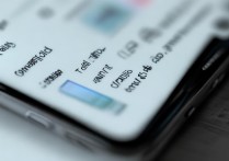 vivox20a下载的东西怎么安装不了