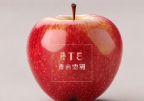 苹果那个符号怎么打？苹果标志符号输入方法