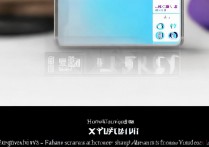 vivox3截图怎么发YY