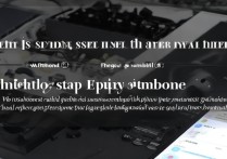 苹果手机怎么测试路由器网速和信号稳定性？教你一招轻松检测