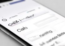 苹果5呼叫转移怎么设置才能确认已开启？