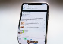 苹果10.3系统怎么降级