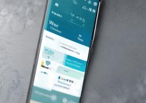 vivox9P怎么放俩微信，vivox9P支持应用分身吗