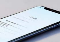 vivo怎么解除网络权限设置