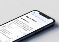 支付宝小钱袋怎么取钱？详细步骤和注意事项是什么？