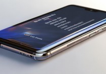 Redmi Note 12 Pro极速版是否支持人脸识别？