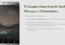 华为Mate8一键root教程，安全操作步骤有哪些？