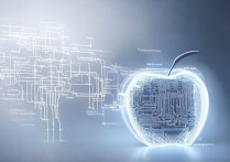 苹果数字信号怎么弄？苹果手机如何设置数字信号显示