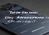 vivo手机电池能换吗