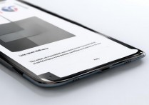 oppo手机屏幕上那个圆形图标怎么关不掉？