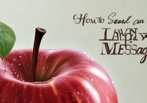 苹果怎么以短信发送，苹果手机发短信方法