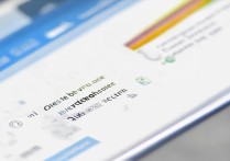 vivo913系统怎么退回最低版本？降级教程有吗？