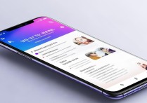 vivoy27i主题怎么更新？第三方主题更新教程有吗？