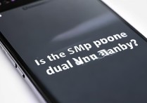 oppo手机是双卡双待吗