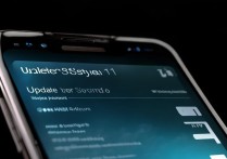 华为mate20pro系统怎么更新9.1