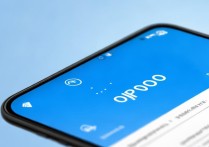 oppo 手机浏览器在哪