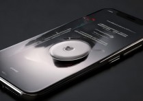 苹果手机按键失灵是什么原因导致的？