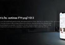 vivoy613手机怎么刷机包？详细步骤与注意事项是什么？