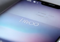 vivo 手机型号怎么看？