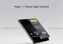 vivoX9怎么强制分屏，vivoX9不支持分屏功能吗