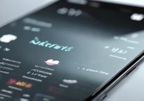 vivox3一直在开机界面重复怎么办