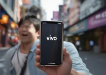 手机寻回vivo