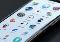 vivox5pro桌面软件怎么分类？新手操作指南来了