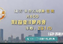 荣耀 60Pro 后盖材质是什么，哪种后盖材质更耐摔且手感好