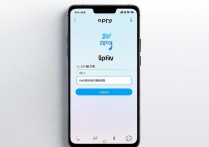 oppo手机支付宝登录不了怎么办？附详细解决步骤