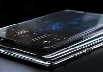 vivo双屏版