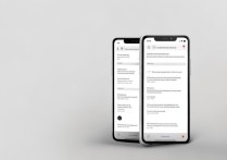 oppo手机怎么跟oppo手机说话