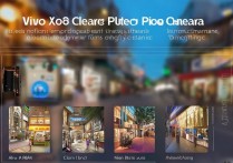 vivox9抓拍效果怎么样？vivox9抓拍清晰度高吗