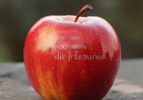 苹果怎么看气压？iPhone自带气压计在哪设置