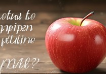 苹果上划线怎么输入？手机或电脑上怎么打出苹果自带的上划线符号？