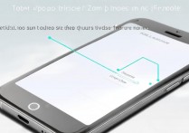 oppo三击放大功能怎么取消？关闭方法步骤详解