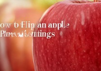 苹果照片翻转怎么设置？iPhone镜像照片在哪里开