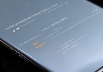 vivoxplay6怎么调拍照模式？夜景/人像模式怎么切换？