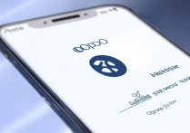 oppo和oppo怎么传软件下载