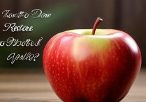 苹果没有最近删除怎么恢复？30字内解决疑问