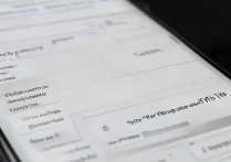 vivo访问权限怎么开启？手机设置里找不到入口怎么办？