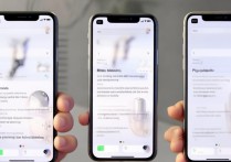苹果7手机怎么共享网络设置？详细步骤是什么？