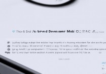 一加 10Pro 怎么打开开发者模式？一加 10Pro 开发者模式在哪里开启？