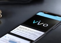 vivo相机怎么成语音了