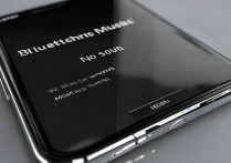 苹果手机蓝牙音乐没声音怎么回事，苹果蓝牙连接成功没声音怎么办