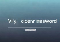 vivo的账户密码