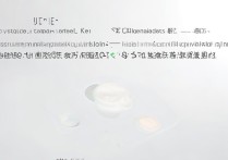 vivoy5s怎么更新系统？详细步骤和注意事项有哪些？